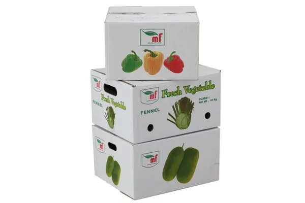 Fresh vegetables cartons