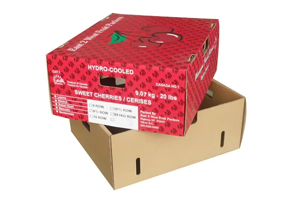 Hydro-cooled fruit carton