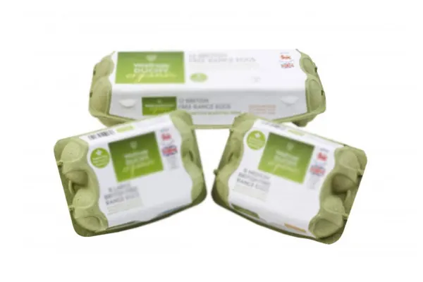Egg packing cartons